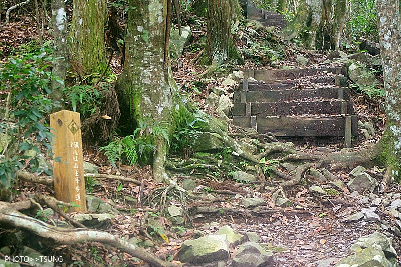 谷關八仙山