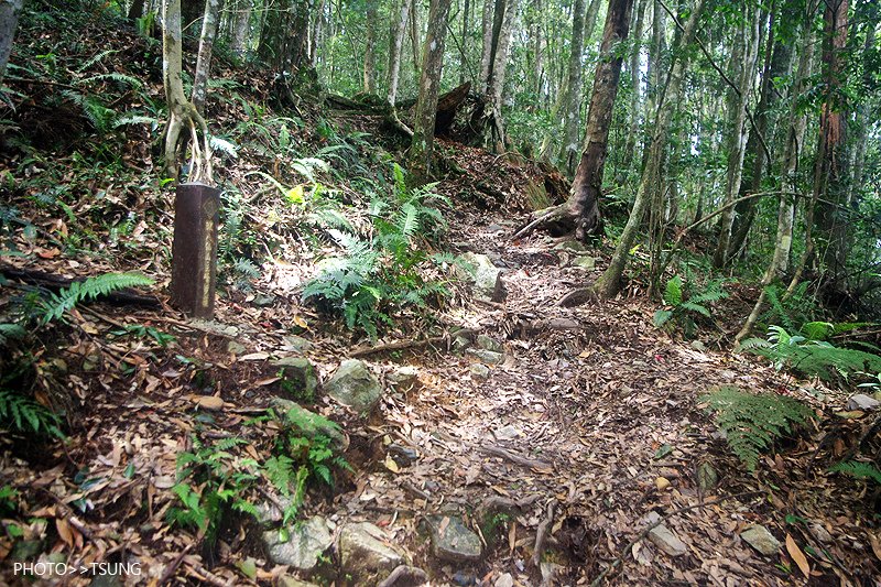 谷關八仙山