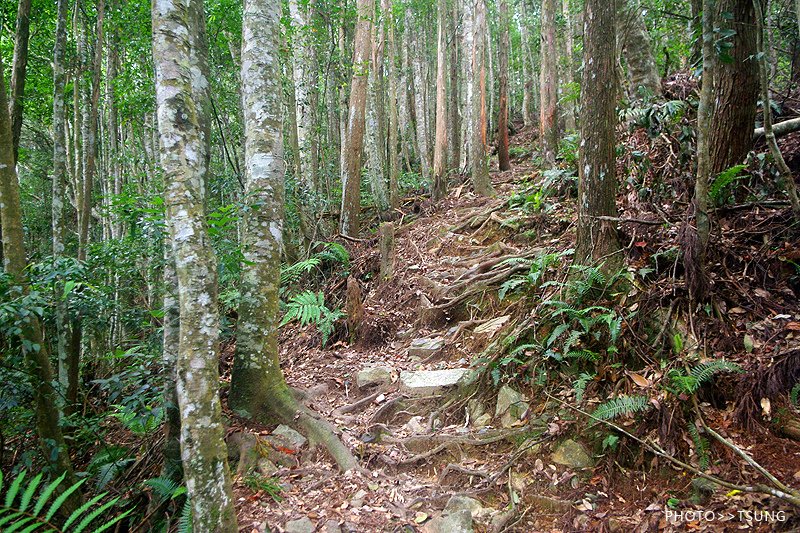 谷關八仙山