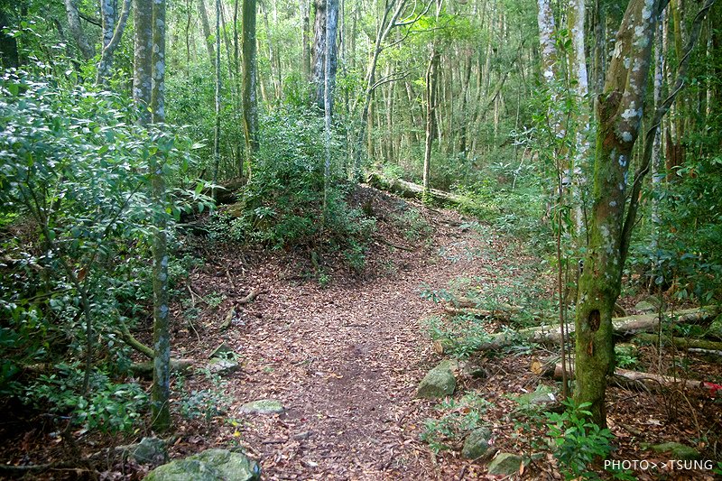 谷關八仙山