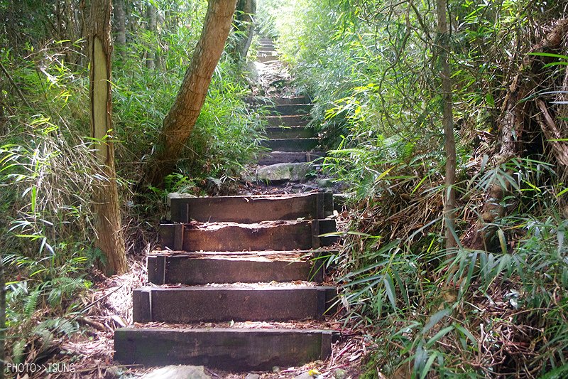 谷關八仙山