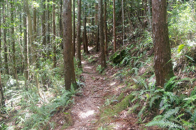 谷關八仙山