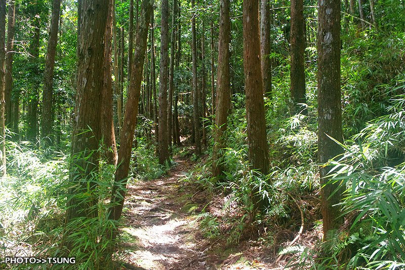 八仙山