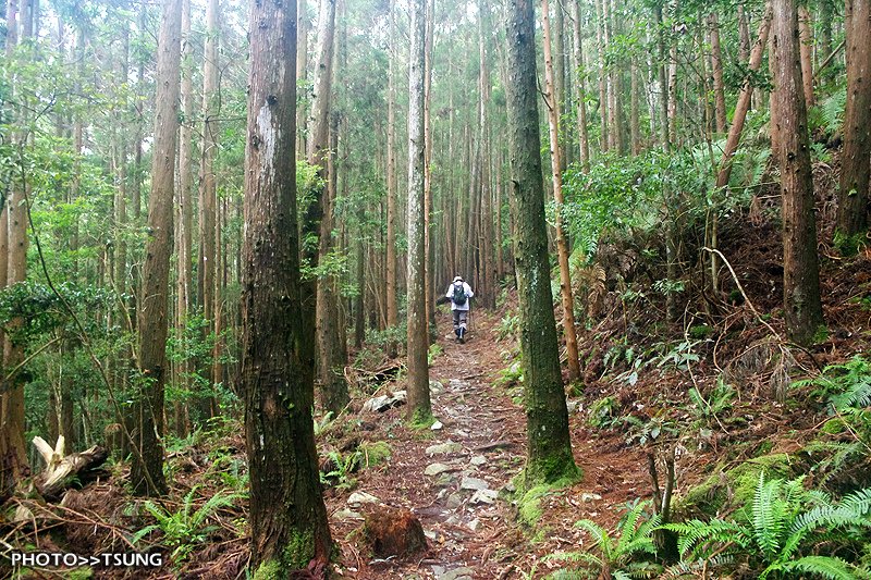 八仙山