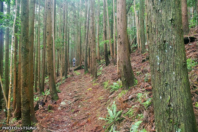 八仙山