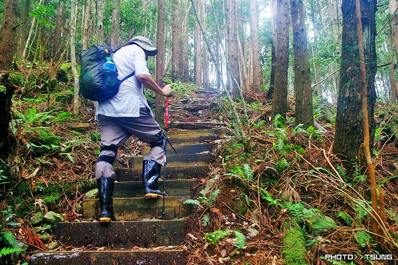 八仙山主峰步道