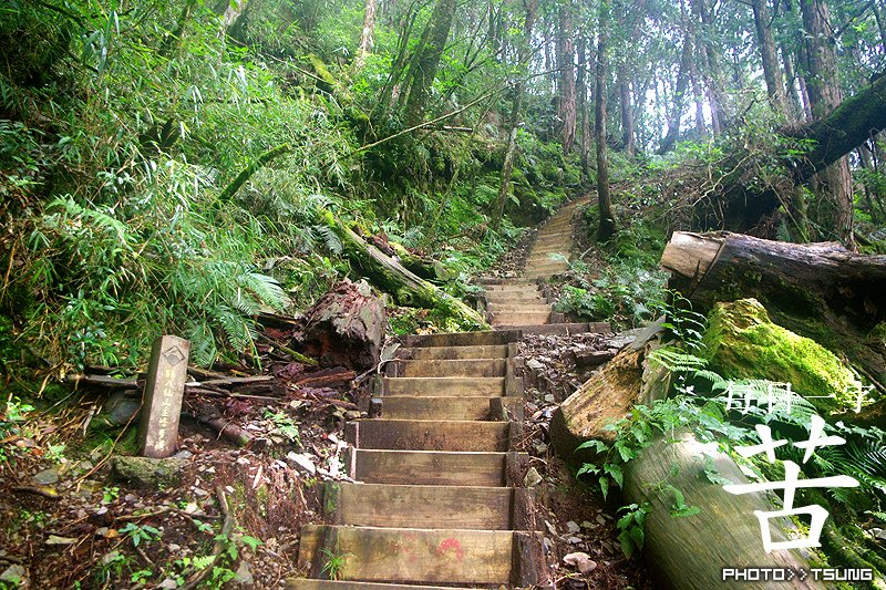 八仙山主峰步道