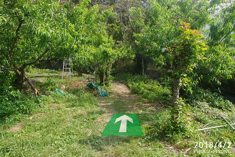 馬崙山登山口路線