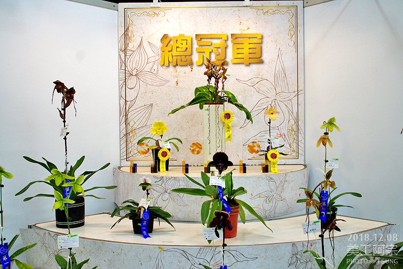 2018新社花海12/1~12/18