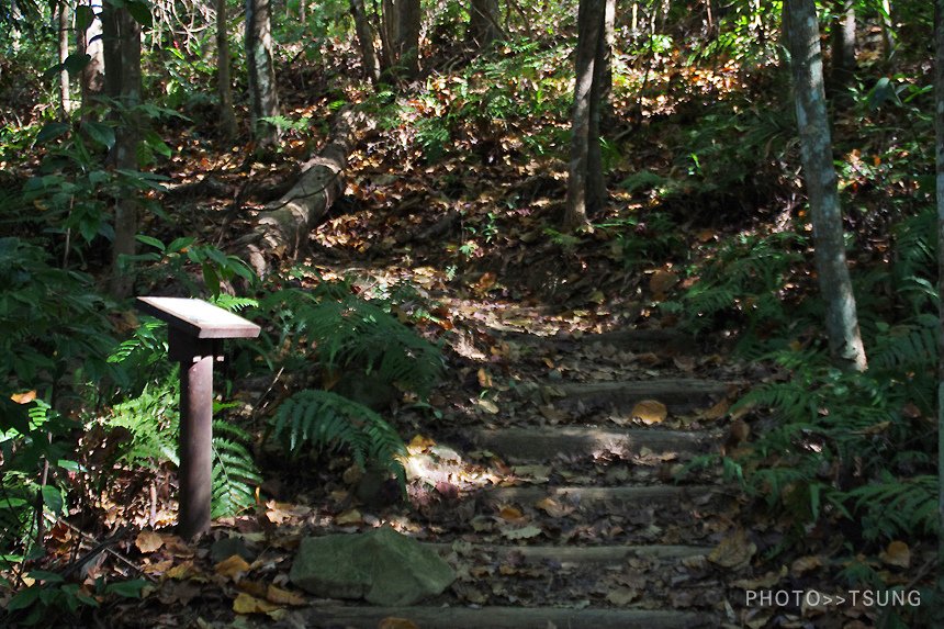 橫嶺山自然步道