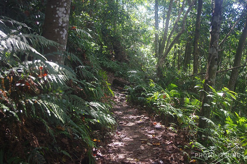 橫嶺山自然步道  