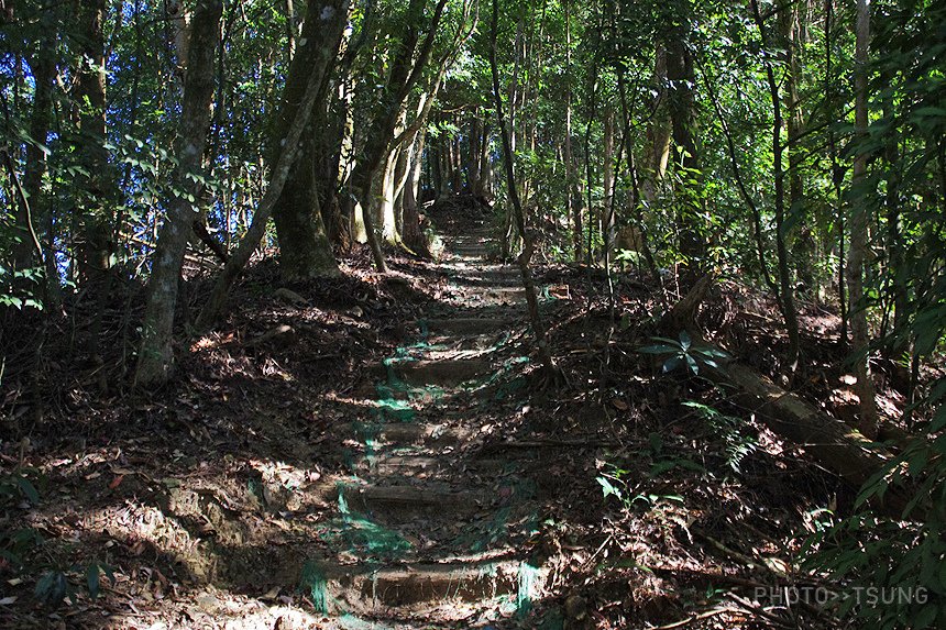 橫嶺山自然步道(懷舊木馬古道)│6.6K-2.5K│大雪山林道15K登山口(編輯中)