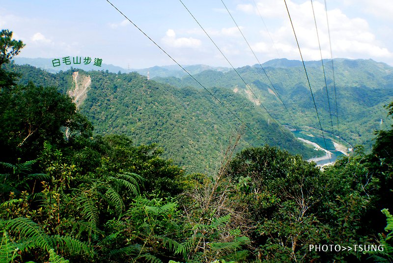 東卯山