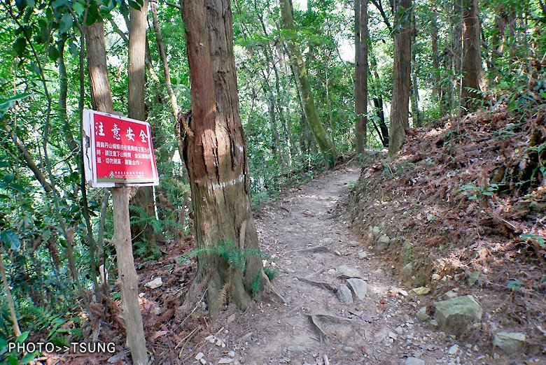 唐麻丹山