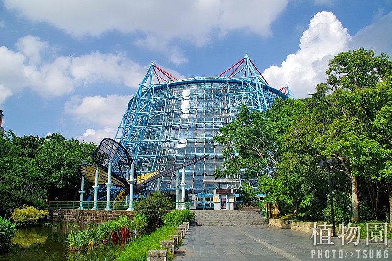 台中植物園│隱藏在都市裡的熱帶雨林