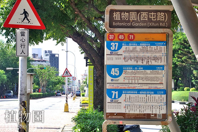 台中植物園│隱藏在都市裡的熱帶雨林