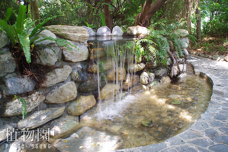 台中植物園│隱藏在都市裡的熱帶雨林