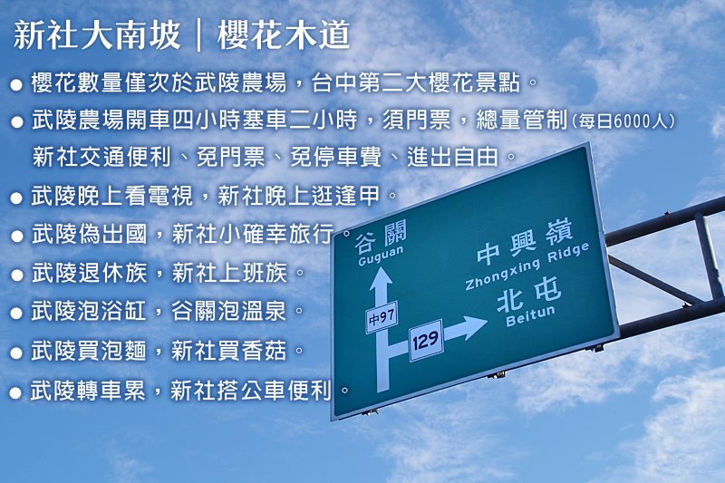 2022台中新社賞櫻│大南坡│櫻木花道(2022.2.10-11紀錄)