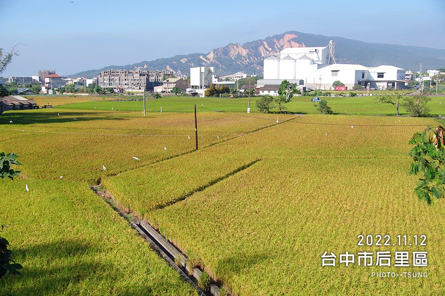 台中后里