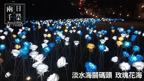 淡水海關碼頭 玫瑰花海.jpg