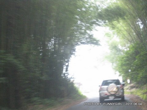 IMG_1960.JPG