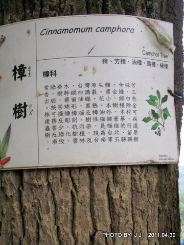 IMG_0410.JPG