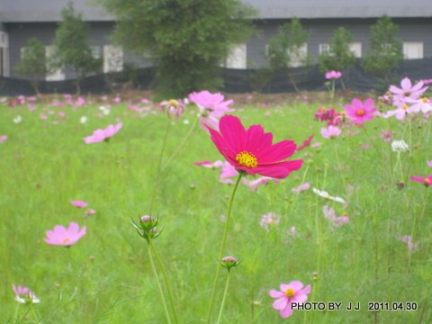 IMG_0328.JPG