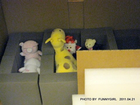 IMG_9415.JPG