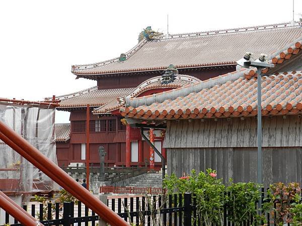DSCN0406.JPG