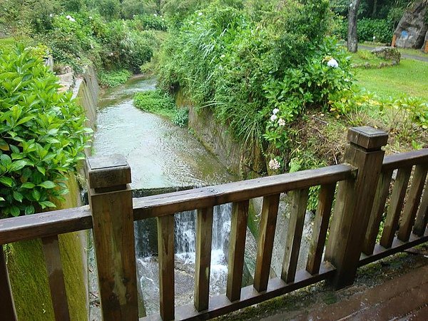 028藥園內望外.jpg