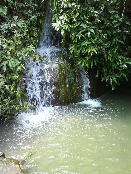 DSC00316.JPG