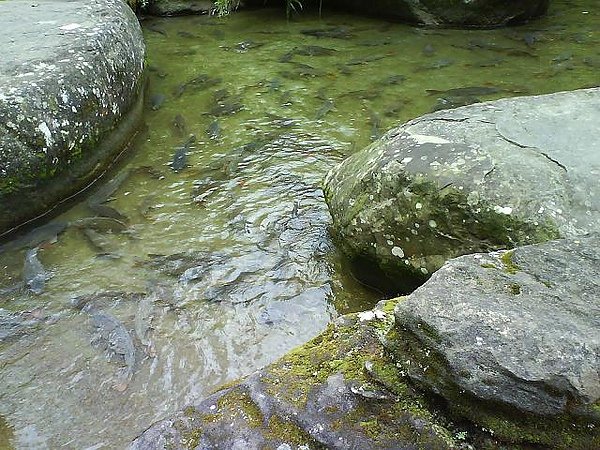 DSC00311.JPG