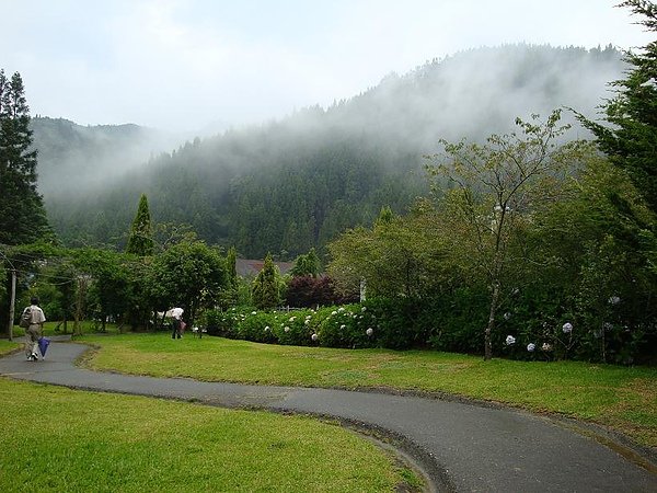 039藥園+嵐氣.jpg