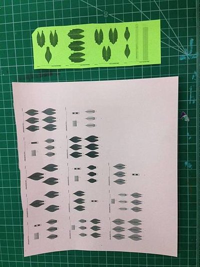 12434392_10153367699342677_1652927627_n.jpg
