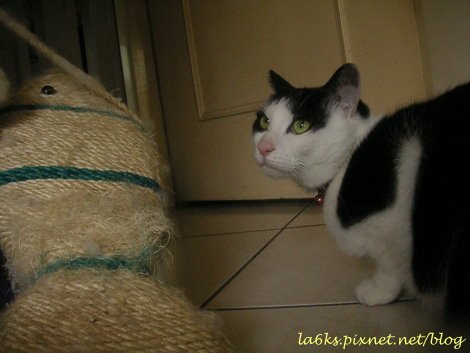 PICT3920.JPG