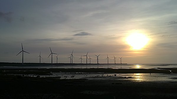 20100731073.JPG
