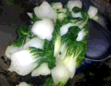pic0072.gif