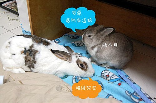 P4G7qcx.UlX3hJKVkk8RLQ