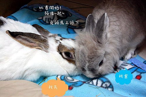 pio5m3Z908rmBgOYd7MWSw