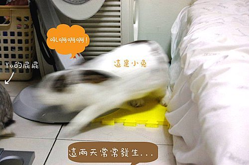 FuwyThMz2aNyoV3OBrFqEA