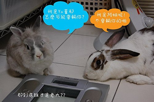 TxQRUHaAiNHBueqi9ECG4A
