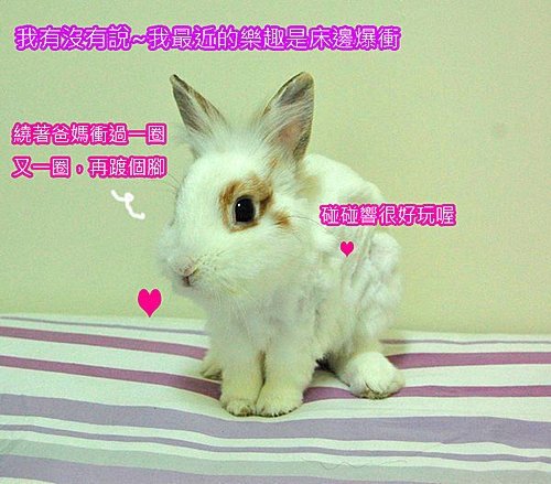 txw2OTzEKDAnU8ClNrIr0w.jpg