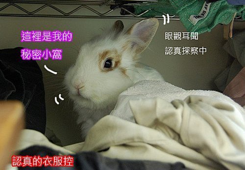 QgSxXHX8BVu1VueYRb1AxQ.jpg