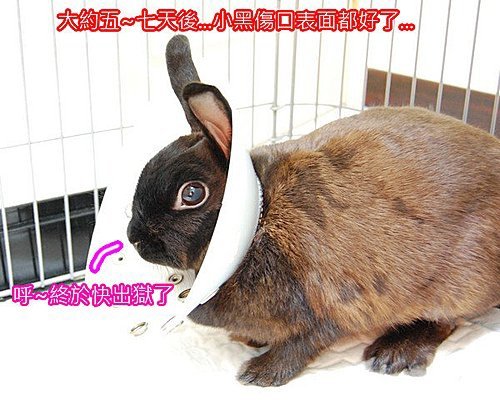 XY7yf1Fw4QlbJ..oWoDV9Q.jpg