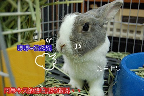 d_Ce31_xysgbtS21VrWz9g.jpg