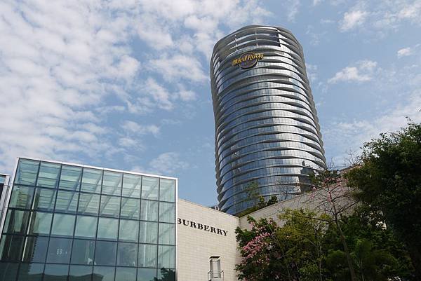 P1120353.JPG
