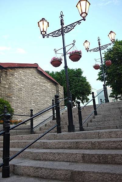 P1120501.JPG