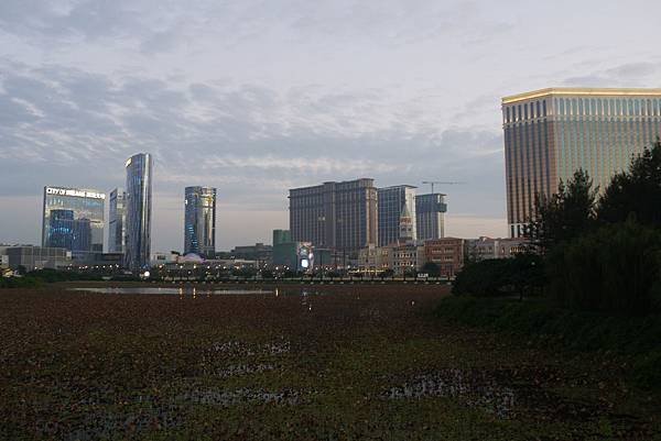 P1120517.JPG
