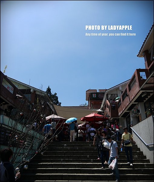 P1040545.JPG