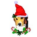 beagle_christmas_gifts_ornament_photosculpture-p153714114580675525qif5_125.jpg